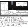 水轉(zhuǎn)印，家具水轉(zhuǎn)印，家具水移畫