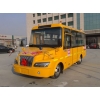 大力19座小學(xué)生校車，19座校車價(jià)格，19座校車圖片