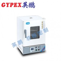 惠州化工廠干燥箱，立式電熱鼓風干燥箱